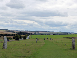 Stones of the avenue