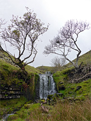 Waterfall between trees