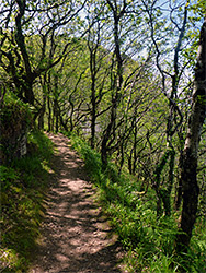 Path west of Woody Bay