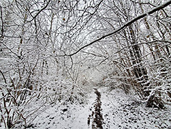 Path through the snow
