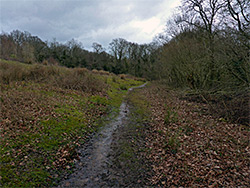 Path, in early spring