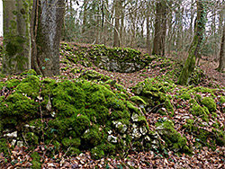 Moss-covered walls