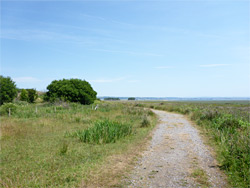 Path alongside the salt marsh