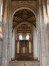 The organ