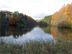 Parkmill Pond