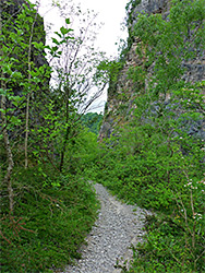 Path in the quarry