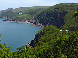 Woodland near Woody Bay