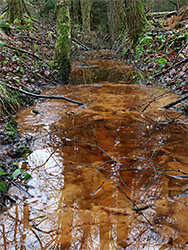 Reflections on a ditch