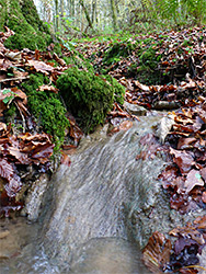 Stream flowing over rock