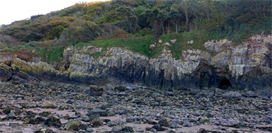 Cliffs and woodland