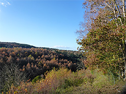 Edge of Wrington Warren