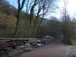 Wye Valley Greenway