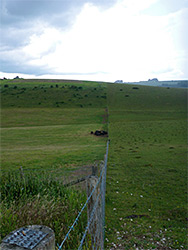 South edge of the reserve