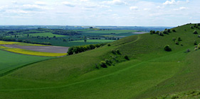 North Wessex Downs AONB