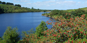 Meldon Reservoir