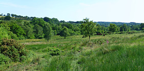 Blackdown Hills AONB