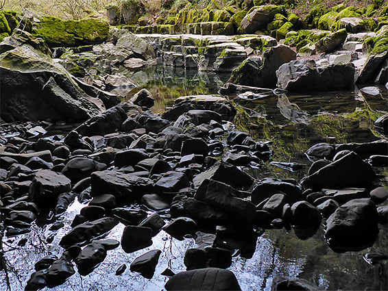 Icicles above a cascade