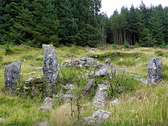 Ruins of the Assycombe Farmstead