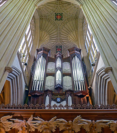 The organ