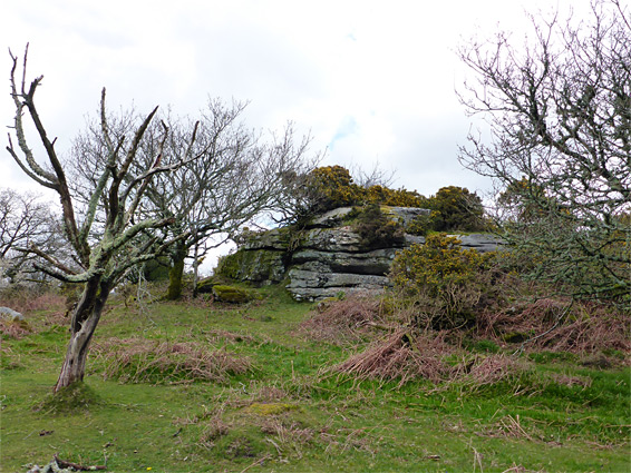 Blackadon Tor