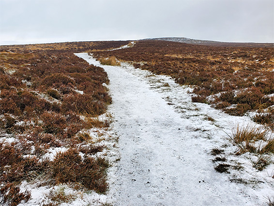 Snow-covered path