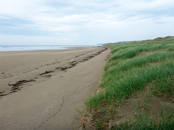 The broad, sandy beach (Saunton Sands) - view north