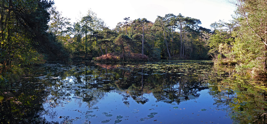 Blue water in Bystock Reservoir