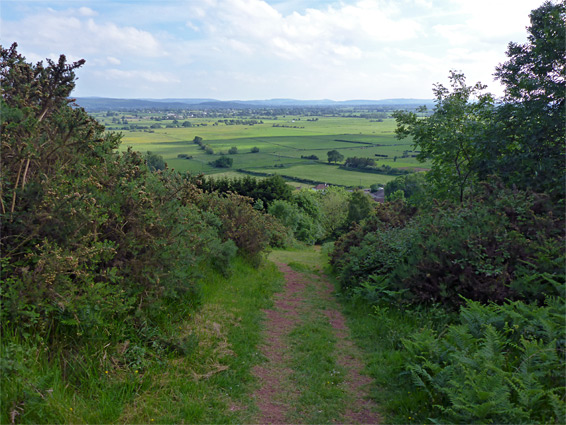 Approach path