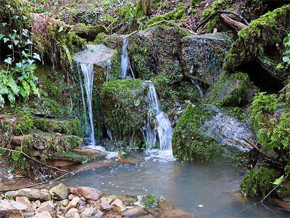 Stream in Caswell Wood