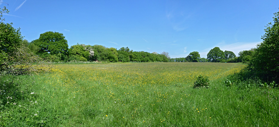 The east field; view from the entrance