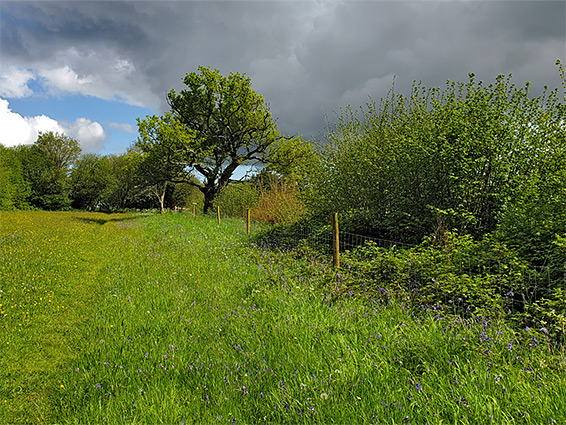 Path across the west field