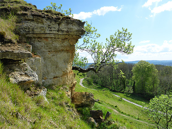 Limestone cliff and horizontal tree trunk