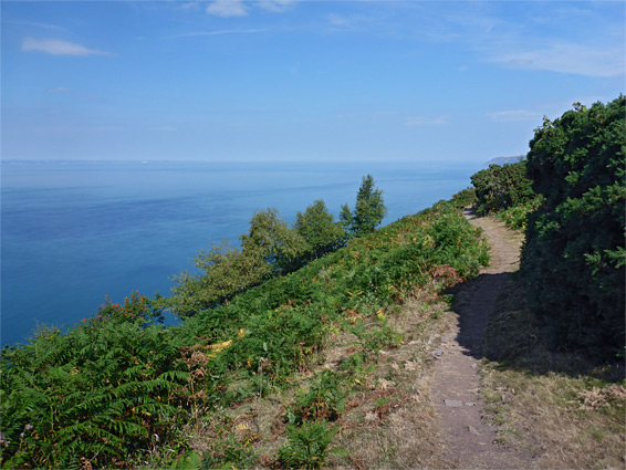 Treeless section of the coast path