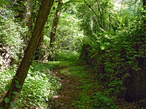 Railway cutting