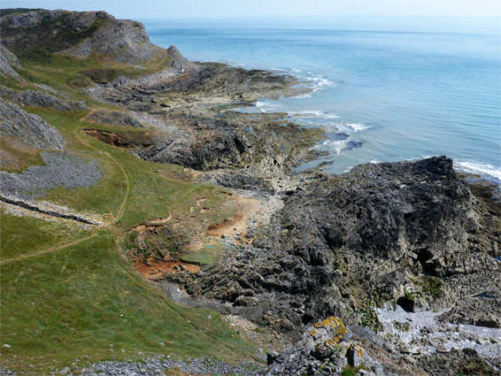 Above the coast path, Common Cliff