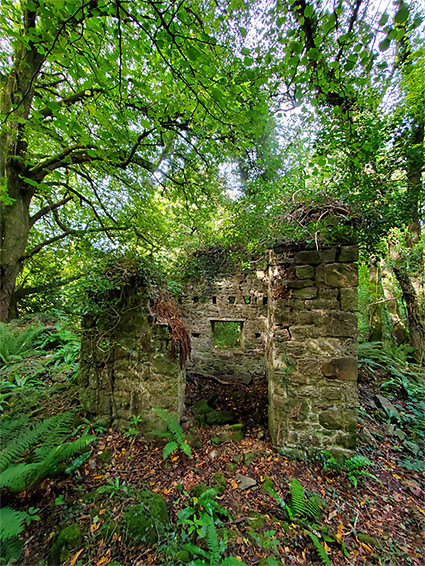 Ruined cottage