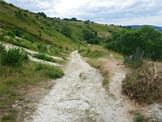 Wide path