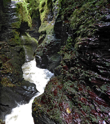 Lydford Gorge