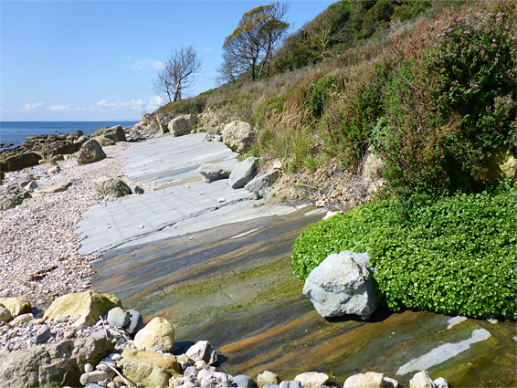 Seep below the Dowlands Cliffs