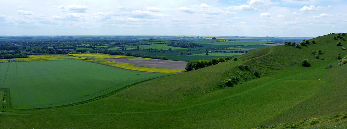 Pewsey Downs