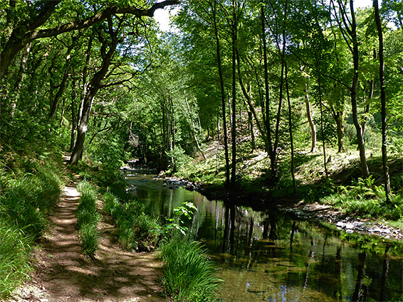 Riverside path, East Lyn River