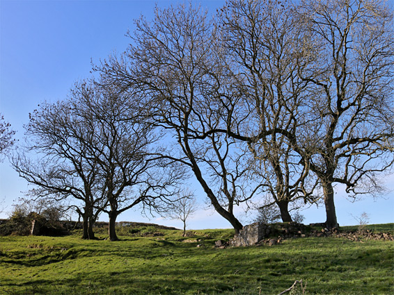 Foundations of the barn