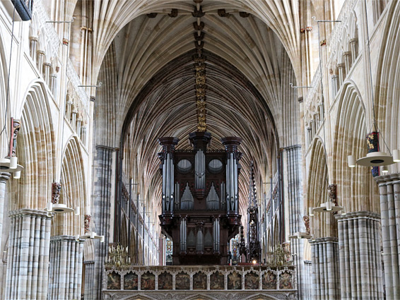 The organ