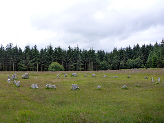 Fernworthy Stone Circle