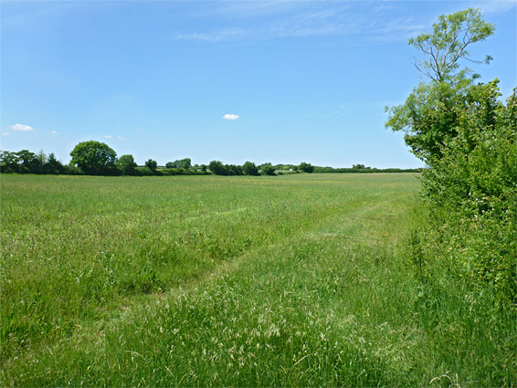 Field