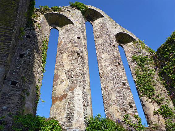 Windows of the nave