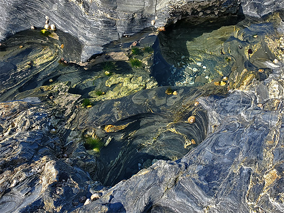 Greenish pool