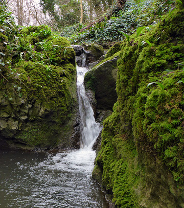 Waterfall and pool