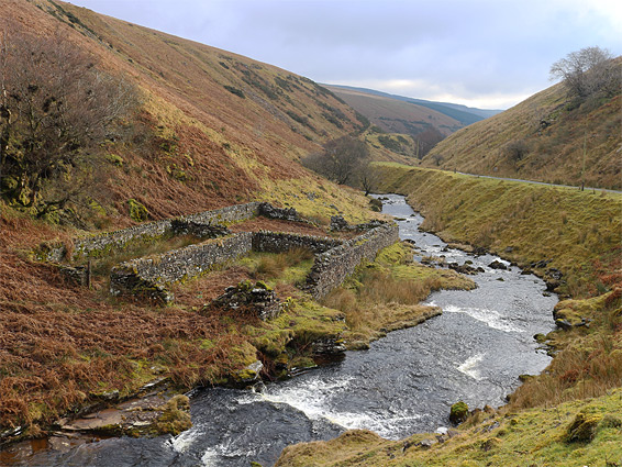 Sheepfold beside Grwyne Fawr