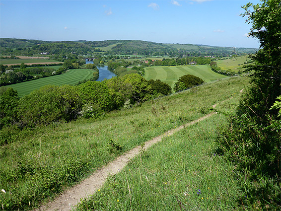 Path across the middle field